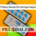 Píldora Sexual De Hormiga Negra new15